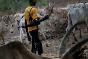 Fulani-herdsman (Secretariat of Nigeria, Directorate of Social Communications)